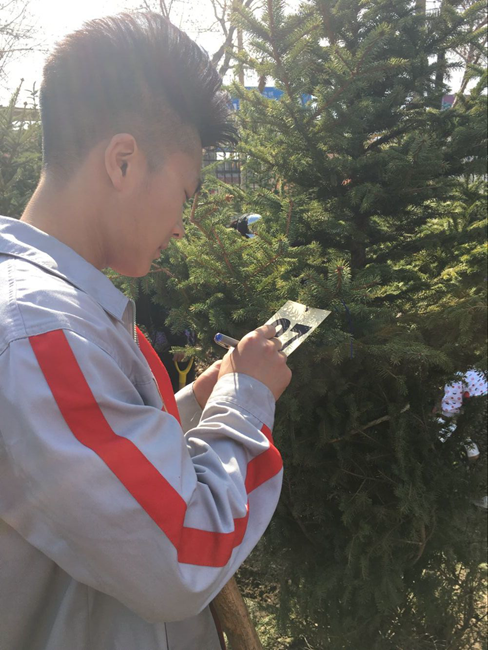 图2.我校志愿者进行树木认领_副本.png