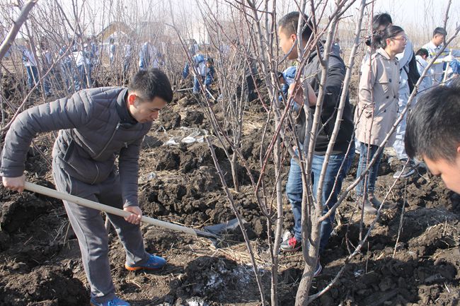 图2.校团委副书记赵良富参与植树活动_副本.jpg
