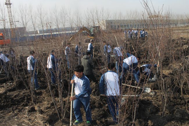 图3.师生共同植树_副本.jpg